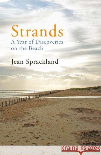 Strands: A Year of Discoveries on the Beach Jean Sprackland 9780099532439 Vintage Publishing