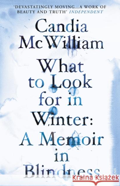 What to Look for in Winter Candia McWilliam 9780099539537