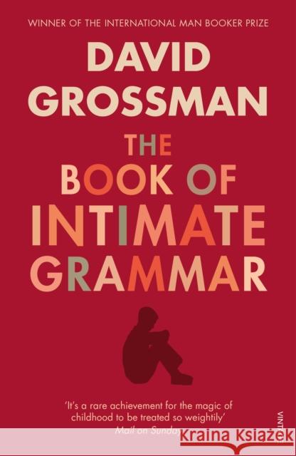 The Book Of Intimate Grammar  9780099552321 Vintage Publishing