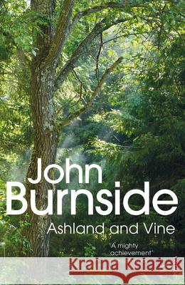 Ashland & Vine John Burnside 9780099554936