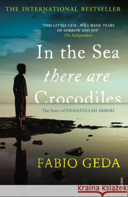 In the Sea There Are Crocodiles Fabio Geda 9780099555452 Vintage Publishing