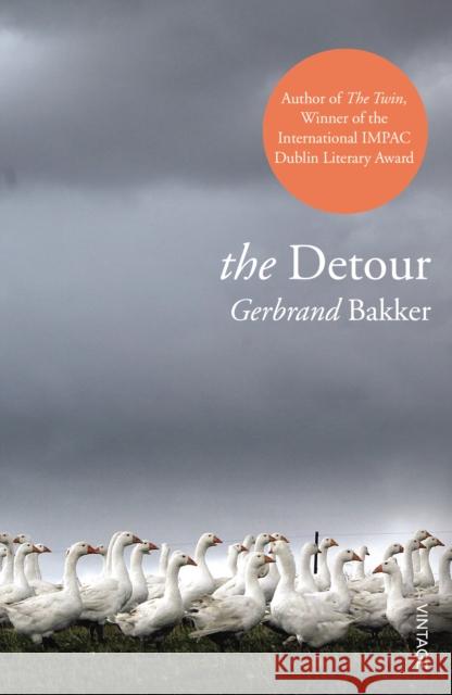 The Detour Gerbrand Bakker 9780099563679