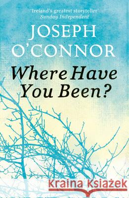 Where Have You Been? Joseph O'Connor 9780099565451