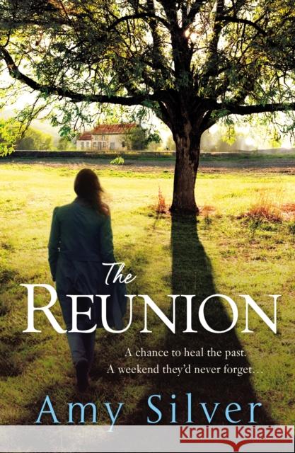 The Reunion Amy Silver 9780099574491