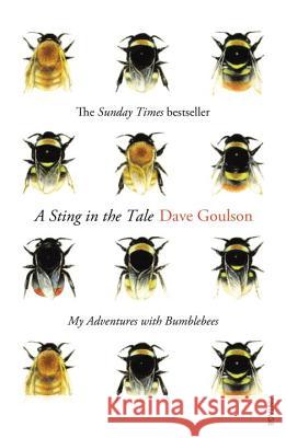 A Sting in the Tale: My Adventures with Bumblebees Dave Goulson 9780099575122 Vintage Publishing