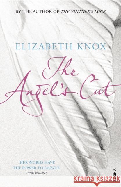 The Angel's Cut Elizabeth Knox 9780099590033 Vintage Publishing