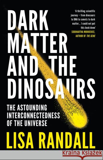 Dark Matter and the Dinosaurs: The Astounding Interconnectedness of the Universe Lisa Randall 9780099593560