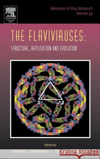 The Flaviviruses: Structure, Replication and Evolution: Volume 59 Maramorosch, Karl 9780120398591 Academic Press