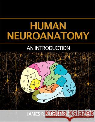 Human Neuroanatomy James R. Augustine 9780120682515 Academic Press