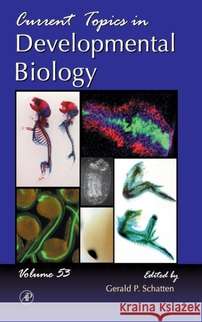 Current Topics in Developmental Biology: Volume 53 Schatten, Gerald P. 9780121531539 Academic Press
