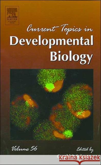 Current Topics in Developmental Biology Schatten, Gerald P. 9780121531560