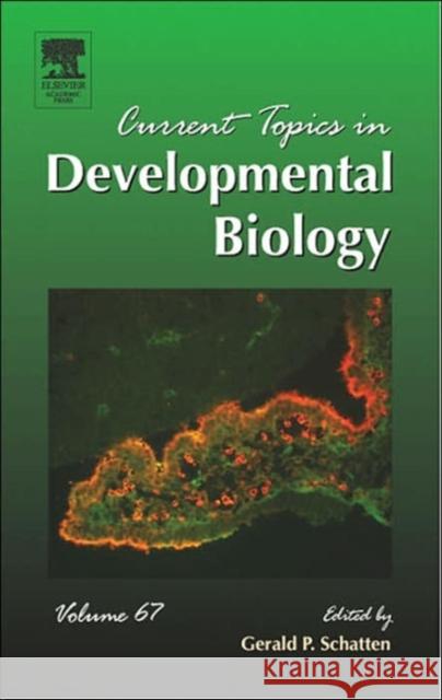 Current Topics in Developmental Biology: Volume 67 Schatten, Gerald P. 9780121531676