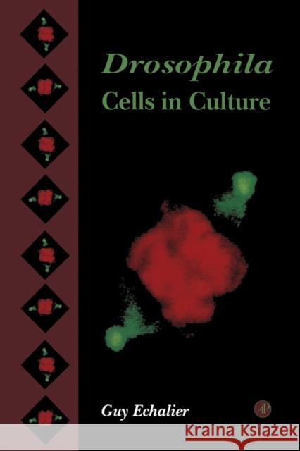 Drosophila Cells in Culture Guy Echalier 9780122294600 Academic Press