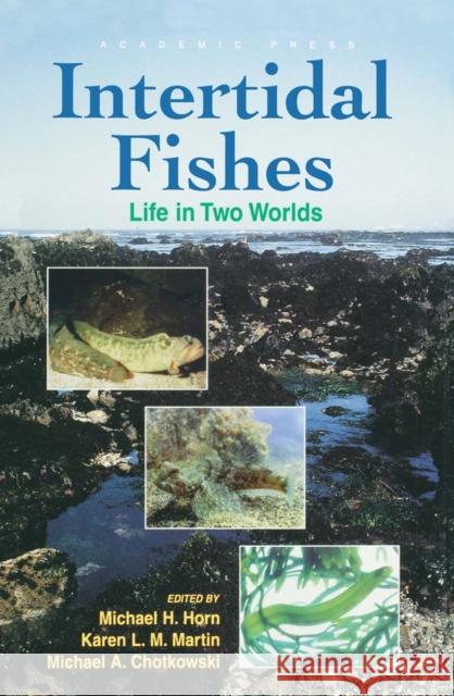 Intertidal Fishes : Life in Two Worlds Michael H. Horn Karen L. Marti Mike Chotkowski 9780123560407 Academic Press