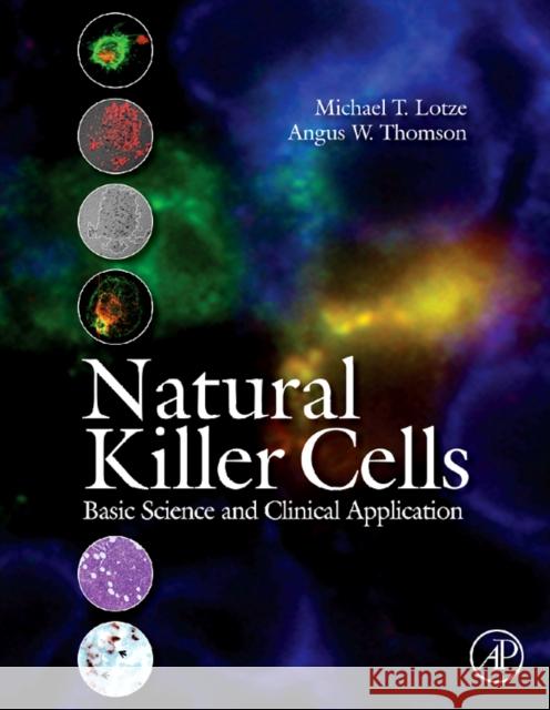 Natural Killer Cells: Basic Science and Clinical Application Lotze, Michael T. 9780123704542 0