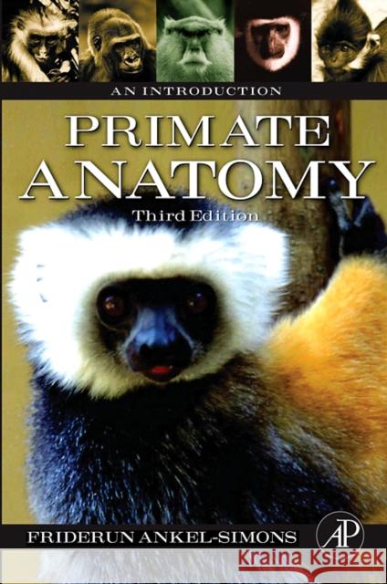 Primate Anatomy: An Introduction Ankel-Simons, Friderun 9780123725769 Academic Press