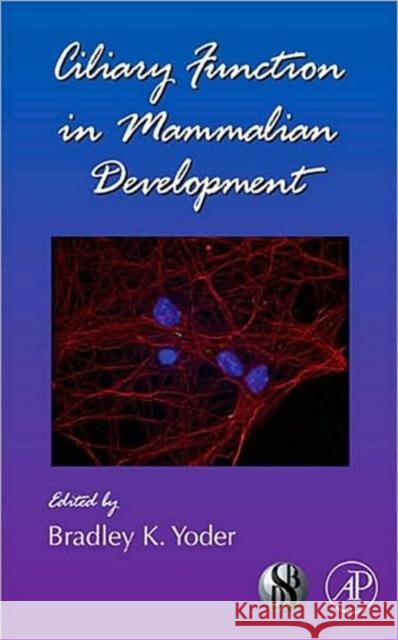 Ciliary Function in Mammalian Development: Volume 85 Yoder, Bradley 9780123744531 Academic Press