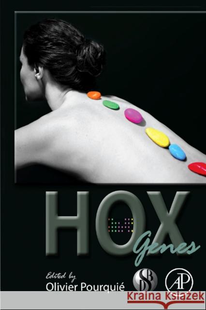 Hox Genes: Volume 88 Pourquie, Olivier 9780123745293 Academic Press