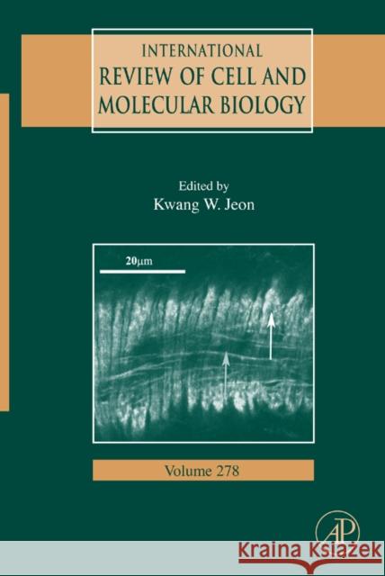 International Review of Cell and Molecular Biology  9780123748096 ELSEVIER SCIENCE & TECHNOLOGY
