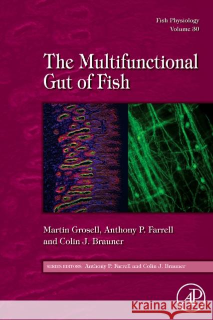 Fish Physiology: The Multifunctional Gut of Fish: Volume 30 Grosell, Martin 9780123749826 0