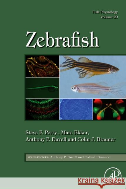 Fish Physiology: Zebrafish: Volume 29 Perry, Steve F. 9780123749833