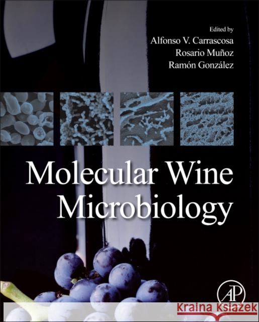 Molecular Wine Microbiology Alfonso Carrascosa Santiago 9780123750211 ACADEMIC PRESS