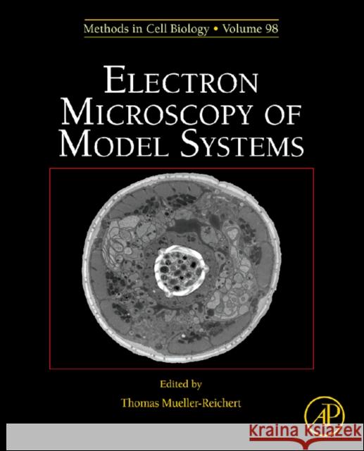 Electron Microscopy of Model Systems: Volume 96 Muller-Reichert, Thomas 9780123810076 Academic Press