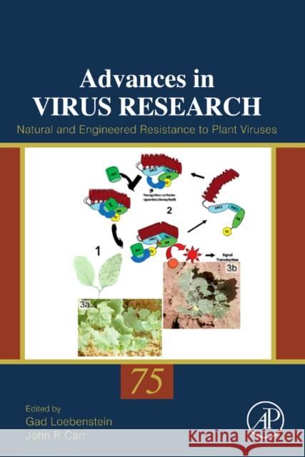 Natural and Engineered Resistance to Plant Viruses: Volume 75 Loebenstein, Gad 9780123813978 Academic Press