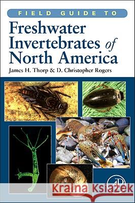 Field Guide to Freshwater Invertebrates of North America Thorp, James H., Rogers, D. Christopher 9780123814265 Academic Press