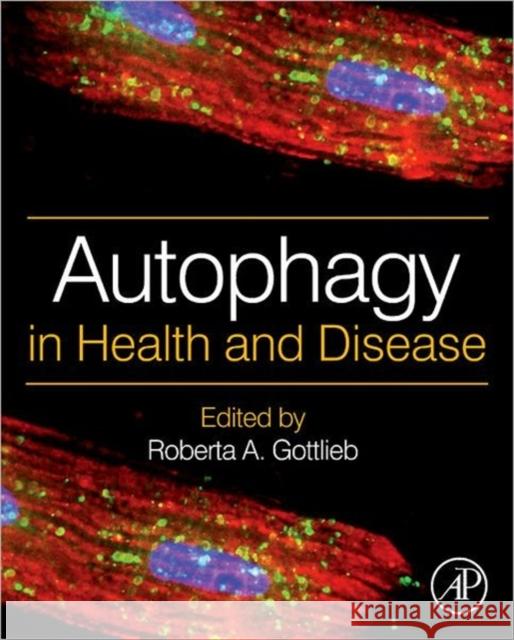 Autophagy in Health and Disease Roberta A. Gottlieb 9780123851017 Academic Press