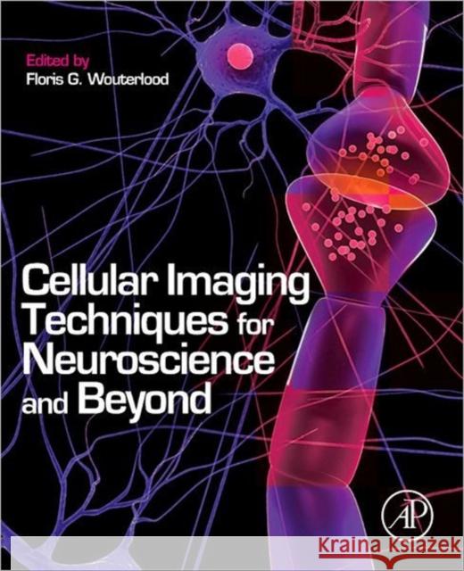 Cellular Imaging Techniques for Neuroscience and Beyond Wouterlood, Floris G. 9780123858726 Academic Press