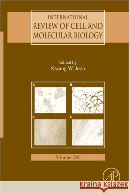 International Review of Cell and Molecular Biology: Volume 292 Jeon, Kwang W. 9780123860330 0