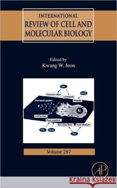 International Review of Cell and Molecular Biology: Volume 287 Jeon, Kwang W. 9780123860439 Academic Press