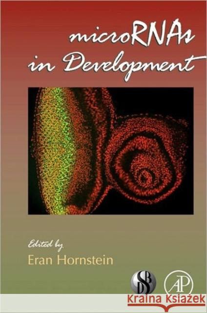 Micrornas in Development: Volume 99 Hornstein, Eran 9780123870384 0