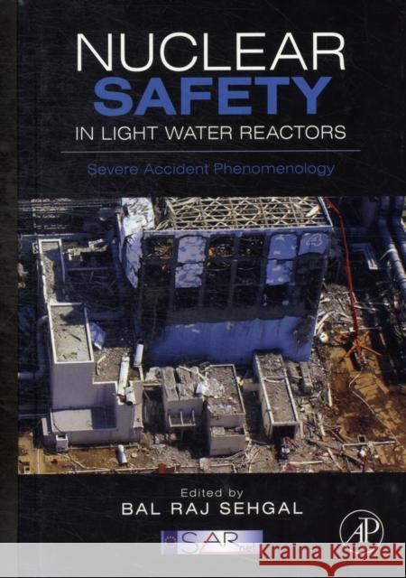 Nuclear Safety in Light Water Reactors: Severe Accident Phenomenology Sehgal, Bal Raj 9780123884466 ACADEMIC PRESS