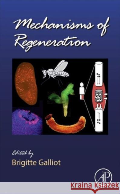 Mechanisms of Regeneration: Volume 108 Galliot, Brigitte 9780123914989