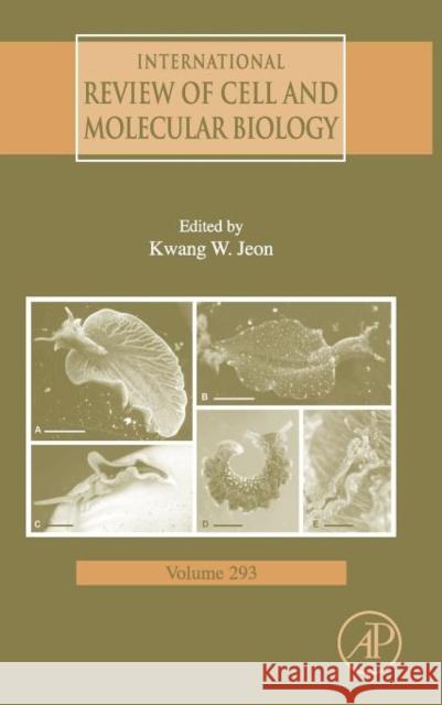 International Review of Cell and Molecular Biology: Volume 293 Jeon, Kwang W. 9780123943040 0