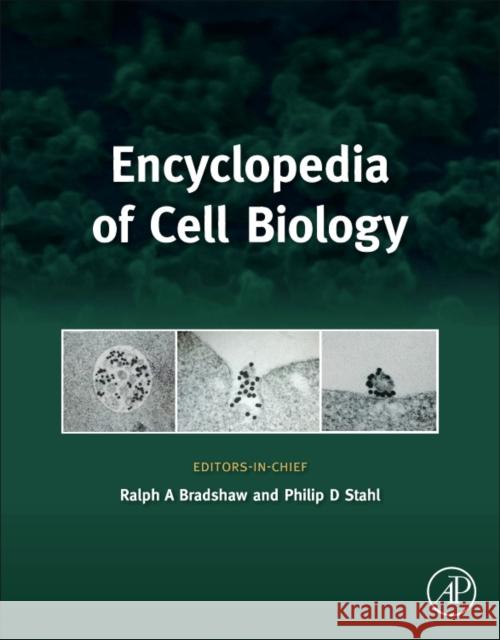 Encyclopedia of Cell Biology, 4 Vols. Bradshaw, Ralph A. Stahl, Philip D.  9780123944474 Elsevier Science