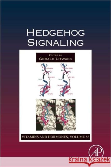 Hedgehog Signaling: Volume 88 Litwack, Gerald 9780123946225 Academic Press