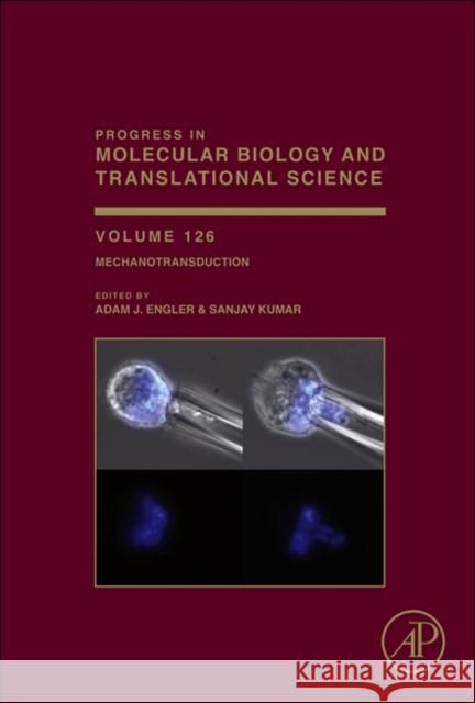 Mechanotransduction: Volume 126 Engler, Adam J. 9780123946249