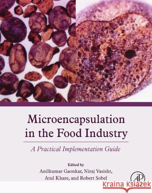 Microencapsulation in the Food Industry: A Practical Implementation Guide Anilkumar G. Gaonkar Niraj Vasisht Atul R. Khare 9780124045682