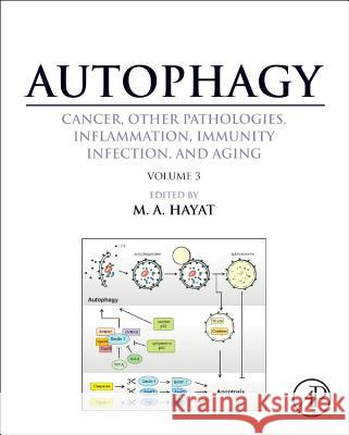 Autophagy: Cancer, Other Pathologies, Inflammation, Immunity, Infection, and Aging: Volume 3 - Role in Specific Diseases Hayat, M. A. 9780124055292 ACADEMIC PRESS