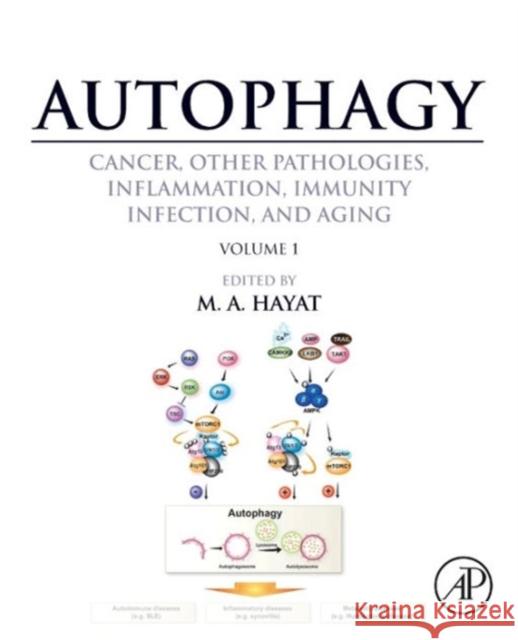 Autophagy: Cancer, Other Pathologies, Inflammation, Immunity, Infection, and Aging: Volume 1 - Molecular Mechanisms Hayat, M. A. 9780124055308 0