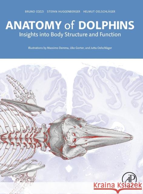Anatomy of Dolphins: Insights Into Body Structure and Function Cozzi, Bruno 9780124072299 Academic Press