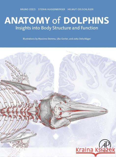 Anatomy of Dolphins: Insights Into Body Structure and Function Cozzi, Bruno 9780124072299