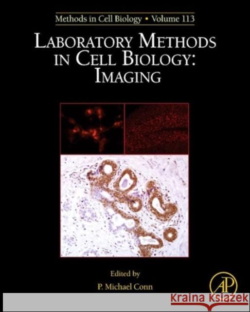 Laboratory Methods in Cell Biology: Imaging: Volume 113 Conn, P. Michael 9780124072398