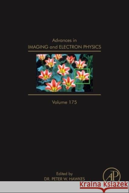 Advances in Imaging and Electron Physics: Volume 175 Hawkes, Peter W. 9780124076709