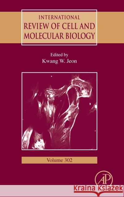 International Review of Cell and Molecular Biology: Volume 302 Jeon, Kwang W. 9780124076990