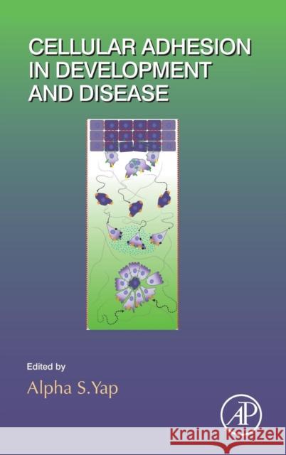 Cellular Adhesion in Development and Disease: Volume 112 Yap, Alpha 9780124077584