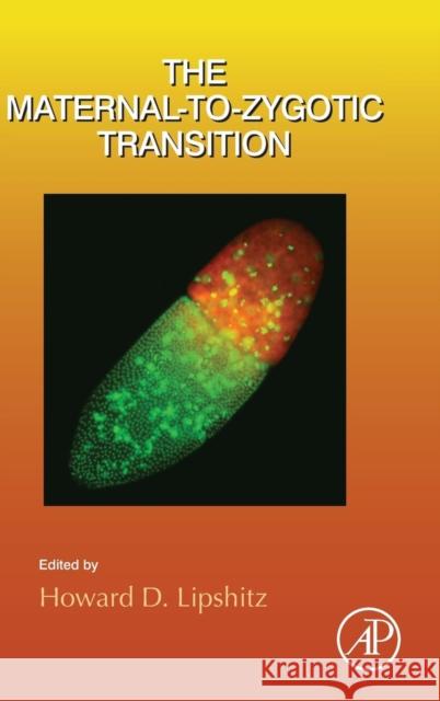 The Maternal-To-Zygotic Transition: Volume 113 Lipshitz, Howard 9780124095236 Elsevier Science